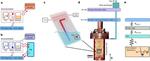 Superconducting quantum circuits take a cold bath