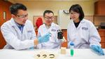 NUS researchers develop first-ever wooden robotic gripper that is driven by moisture, temperature and lighting