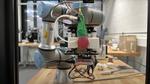 Silicone raspberry used to train harvesting robots