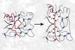 Surprise! Weaker bonds can make polymers stronger