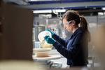 Azure Quantum Elements aims to compress 250 years of chemistry into the next 25