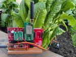 Agricultural IoT With LoRaWAN and 8-Bit