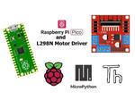 Raspberry Pi Pico and L298N Motor Driver