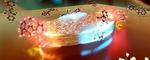 A pulse of light makes polaritons disappear