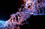 MIT scientists build a system that can generate AI models for biology research