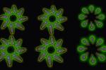 Researchers grow precise arrays of nanoLEDs