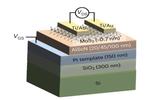 A Ferroelectric Transistor That Stores and Computes at Scale