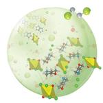 A Non-Covalent Bonding Experience