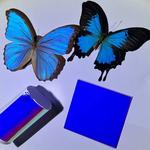 Butterfly-inspired films create vibrant colors while passively cooling objects