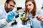 Fast electrical signals mapped in plants with new technology