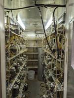 Making bioplastics that are easier to compost