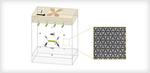 Unveiling the Anomalous Dynamics of Non-collinear Antiferromagnets