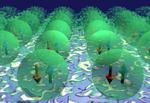 Research group detects a quantum entanglement wave for the first time using real-space measurements