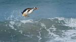 Linux 6.5 kernel arrives with exciting new features