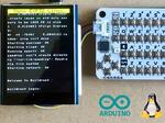Ultra-low-powered Linux Computer running on microcontrollers