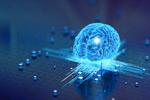 Breakthrough way to train neuromorphic chips