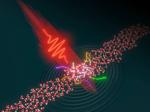 Intense lasers shine new light on the electron dynamics of liquids