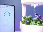 Build a Self Watering System
