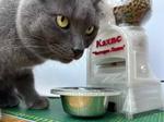 Automatic pet feeder