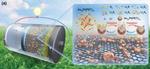 Revolutionizing energy storage: Metal nanoclusters for stable lithium—sulfur batteries