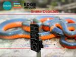 LoRaWAN Based TinyML Snake Recognition System
