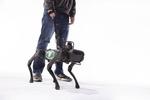 Binghamton computer scientists program robotic seeing-eye dog to guide the visually impaired