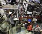 Exotic atomic nucleus sheds light on the world of quarks