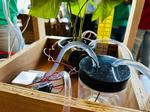 Smart Vertical Farming