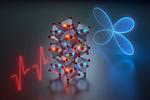 Researchers discover new channels to excite magnetic waves with terahertz light