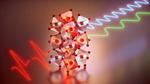 Researchers Discover New Ways to Excite Spin Waves with Extreme Infrared Light