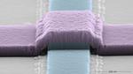 Resurrecting niobium for quantum science
