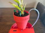 Vegetative State Self Watering Houseplant