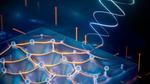 Researchers Find First Experimental Evidence for a Graviton-like Particle in a Quantum Material