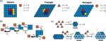 Self-assembly of complex systems: hexagonal building blocks are better