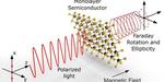 Study shows: 2D materials rotate light polarisation