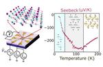 Exploiting the disorder to harvest heat energy: The potentialities of 2D magnets for thermoelectric applications