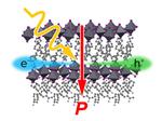 Shedding light on the origin of the photovoltaic effect in organic–inorganic perovskites
