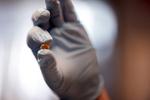 Squishy, metal-free magnets to power robots and guide medical implants