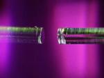 UW–Madison scientists develop most sensitive way to observe single molecules